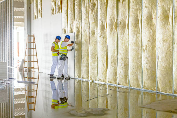 Best Insulation Installation Services in Stryker, OH